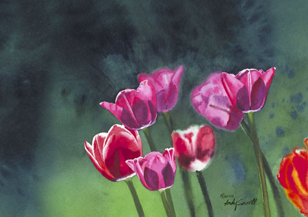 Tulip Stems & Petals